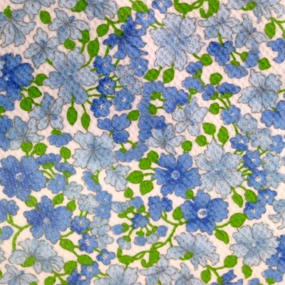 Flores azules verano