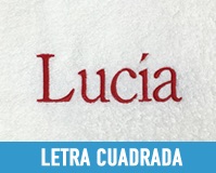 Bordado 5